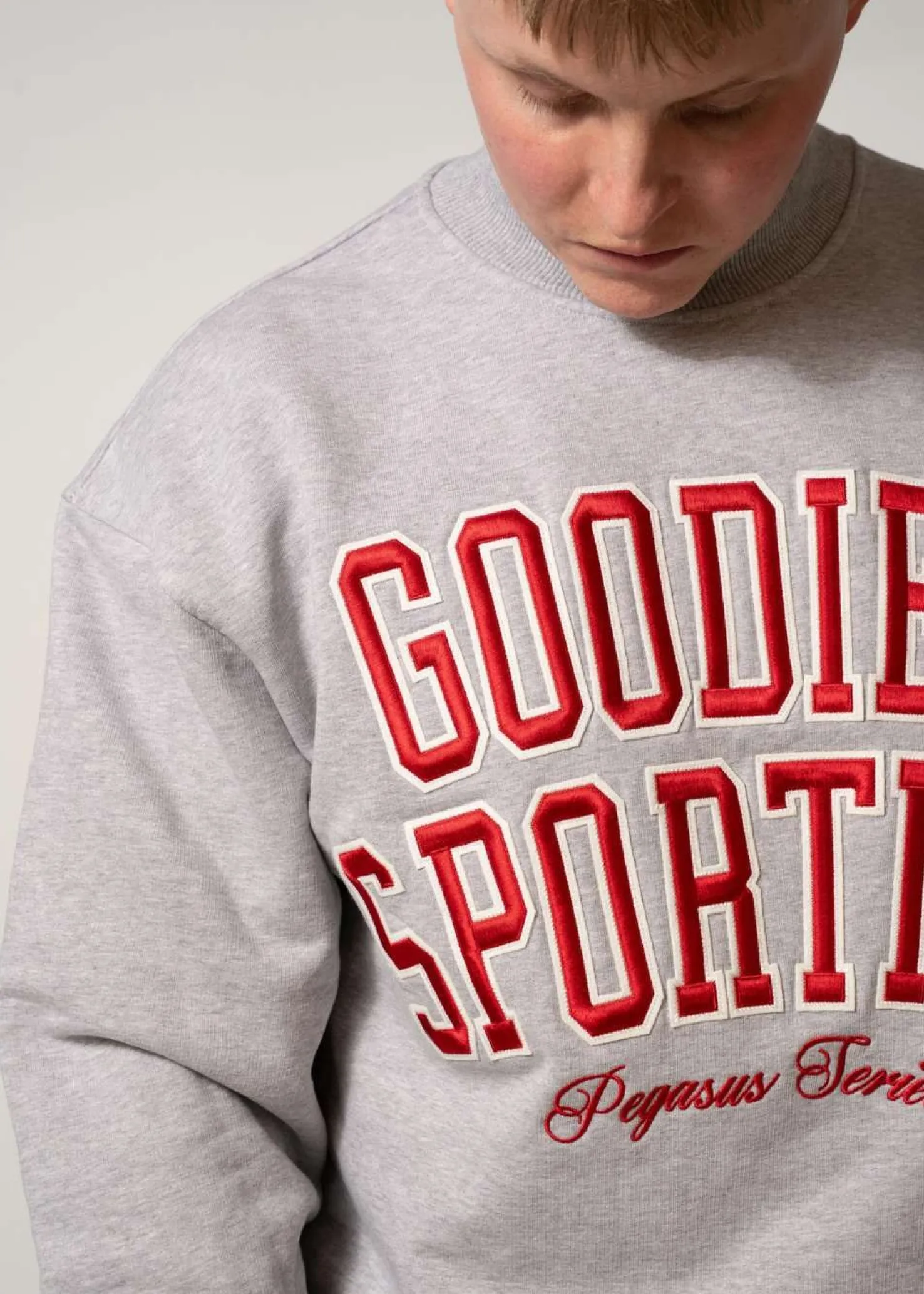 Goodies Sportive Baseball Grey Crewneck