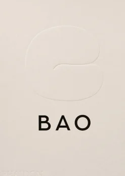 New Mags Bao